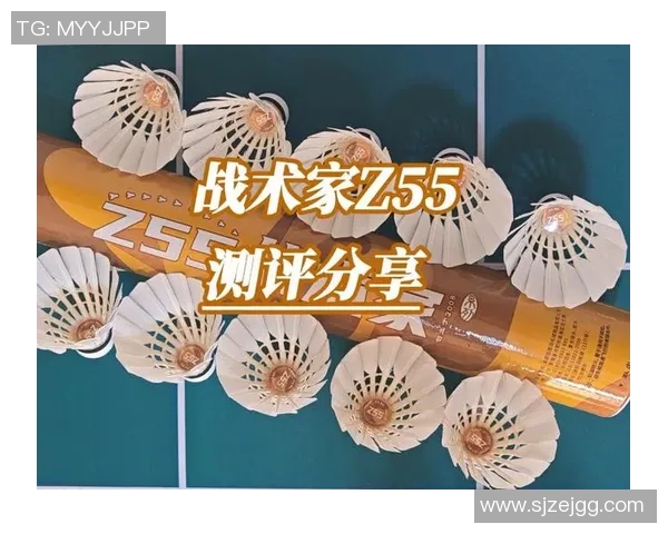 羽毛球女双顶尖组合战术分析及未来发展趋势研究