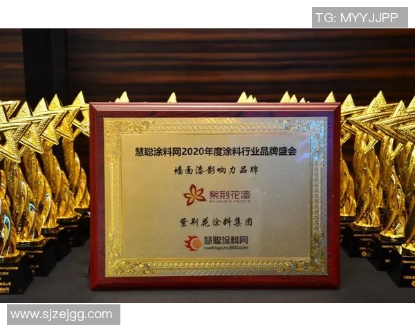 赛事赞助商在品牌推广中的关键作用与市场影响力分析报告