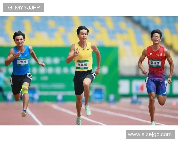 奥运会田径项目选手恢复与训练周期管理